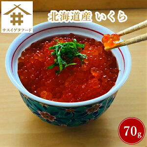 鮭 刺身 魚卵の人気商品 通販 価格比較 価格 Com 鮭 刺身 魚卵の人気商品 通販 価格比較 価格 Com