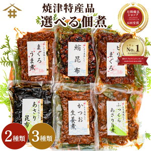 1000円ポッキリ つくだ煮 選べる 「焼津特産品 佃煮2~3品」 鮪 マグロ カツオ アサリ 昆布 詰め合わせ セット