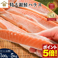 【ポイント5倍！楽天食いしんぼう祭】最大3,000円OFF！「甘塩銀鮭ハラス 500g〜5kg」 サーモンハラス 選…