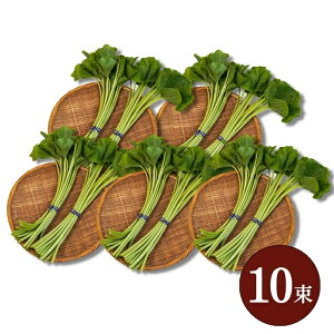 ܂ƂߔIȂƍő5,000~OFFI({B̂) u킳ьs2`10v É L 킳іYn@X