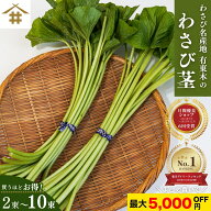 まとめ買いがお得！なんと最大5,000円OFF！送料無料(本州のみ) 「わさび茎2束〜10束」 静岡 有東木 わさ…