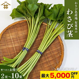 まとめ買いがお得！なんと最大5,000円OFF！送料無料(本州のみ) 「わさび茎2束～10束」 静岡 有東木 わさび名産地　お店