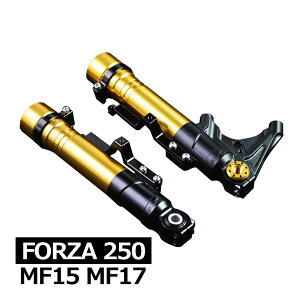 tHcA 250 MF15 MF17 FORZA tgtH[N AE^[`[u |type WA}Eg ubN z_ tHcA rNXN XN[^[ JX^ tg TXyV