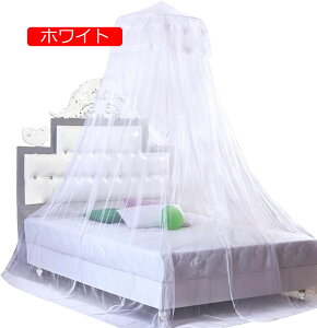 ᒠ  /nG  VW J[e [X bV ʋC XL[glbg vZX JWA ĕ xbhJ[e VO 킢 C p[v/zCg