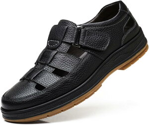  ʋC JWA rWlX T_ Y hCo[ hCrO EH[LOV[Y ItBXvC y Ȃ 