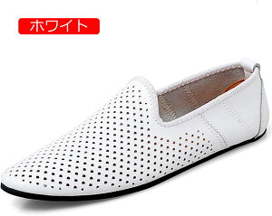 [t@[ JV hCo[T_ Y y {v bVC ėp f Xb| RȂ vC  ItBX JWA _炩 ʋC L  h