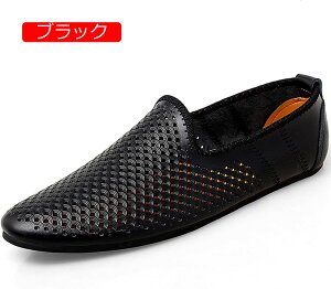 [t@[ JV hCo[T_ Y y {v bVC ėp f Xb| RȂ vC  ItBX JWA _炩 ʋC L  h