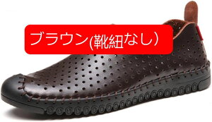 Y amC rWlXV[Y T_ C U[V[Y Ȃ  ItBXT_ T_