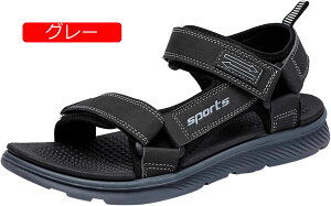 T_ Y O Ȃ X|[cT_ Y X|[c񂾂 {v T_ lC  JWA ~ ėp jp AEghAT_ C    ₷ L