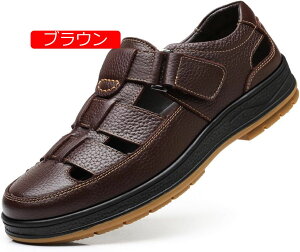  ʋC JWA rWlX T_ Y hCo[ hCrO EH[LOV[Y ItBXvC y Ȃ 