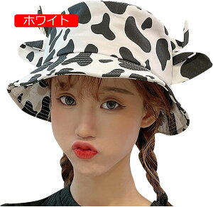 Xq fB[X LXPbg oPbgnbg ΍L Xq z[nbg tX fB[Xnbg ċG sp AEghA uvJbg zʋC Ăh~ gѕ֗ r[` ܂肽 