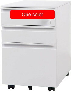 fXNS i TChSItBXS e 3i gĕsv LX^[t tTChfXN S A4 t@C fXNLrlbg 60cm [ e zCg