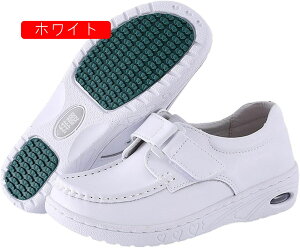 D^i[XV[Y fB[X EH[LOV[Y Ō  ʋC ɂ RtH[g E֗ ɂ ᔽ xN 傫TCY ԗd NbV