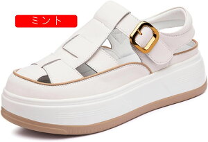 OfBG[^[ T_  fB[X vbgtH[ [} obN N[YhgD +5cmg tďH  Xj[J[ IV h h E֗ s