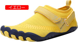 yʃXj[J[ Y EH[LOV[Y y ^C lC jOV[Y ʋC ʊw ʋ t@bV JWA bV X|[cV[Y jOV[Y lC hL w