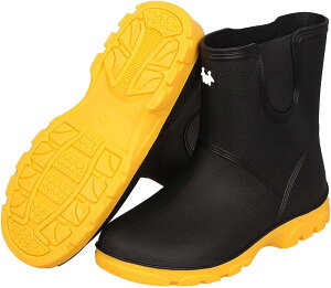 CV[Y Y y fB[X CV[YV[g IV Cu[c JC Lb`V[Y ~[p h rWlX ނ Ԍ ~J΍ 䕗 ʋ ʊw Ɨp ƌC 