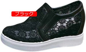 Xb| Cq[  fB[X Xj[J[ 傫TCY 6.5cm ₷ ʋC [X RȂ ₷ Cq[Xj[J[ ɂȂ   JWA  Xb|