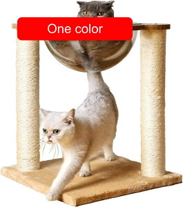 L ܂Ƃ FD JvZ L̈v ؓo^[ JvZ lRpQ LpnEX R߂Ƃ Sf 360° Lbg ybgpi ω׏d15KG ȃXy[X̃|Xg z