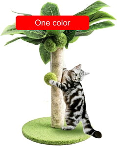 qLpLp܂Ƃ|Xg 킢΂̗t̔Lp܂Ƃ|Xg TCU[vt Lp܂Ƃ|Xg Lbgc[ S