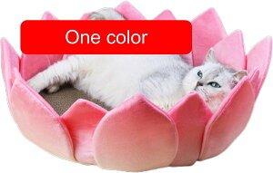 Lp܂Ƃ{[h ی^܂Ƃpbh h~|Xg i{[EWxbh ދȔLp܂Ƃ{[h