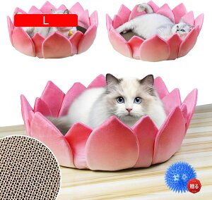 L ܌ i{[ xbh L̒܂Ƃ ی^ Lxbh ߂Ƃ L\t@ x ϋv XgX L܂Ƃ_{[ @\ lR ܖ Ƌjh~ ^sP XNb`[ L