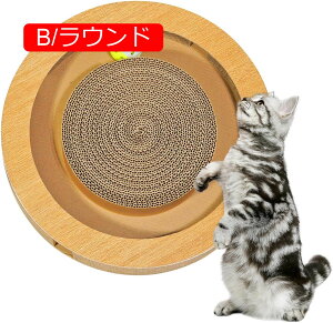 L̒܂Ƃ{[h - Lp܂Ƃpbh - i{[Q[{bNXǍ`̔L̂Aދa炰Aݍp߂܂ Oric