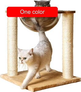 L ܂Ƃ FD JvZ L̈v ؓo^[ JvZ lRpQ LpnEX R߂Ƃ Sf 360° Lbg ybgpi ω׏d15KG ȃXy[X̃|Xg z