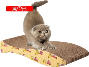 L̃XNb`i{[ - ʐ^Lpʒ܂Ƃ}bg | LAqLp̑prg`LXNb`pbhA\t@J[ybgAƋA\t@ی