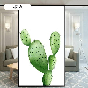 80cmx120cm ډBtB ptB ߂V[g KXtB T{eA ՌfMV[g  tB Ódz œ\ \蒼\ JX^}CY\