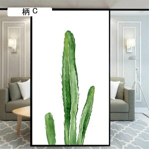 80cmx120cm ډBtB ptB ߂V[g KXtB T{eA ՌfMV[g  tB Ódz œ\ \蒼\ JX^}CY\