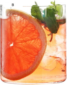 q[gJbvKX240mlECXL[OXItBXGݓƗpƑ/o[/sNjbN/p[eB[ɍœK蕨Lb`pϔMW[X~NeB[R[q[Jbv}OJbvJN