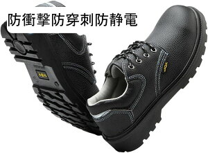 SC v Z[teB[V[Y U[ h ϖ |c ܐی Bݔh~ ҂ݏグ [NV[Y Y ϊ NbV ώ_ σAJ y ≏ jp ݌