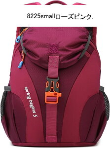 oRpbNTbN e  AEghAbNTbN ϋvD ϐk obNpbN nCLOobO Y fB[X ܂肽݉\ hȂ ֗ s Ԍ 