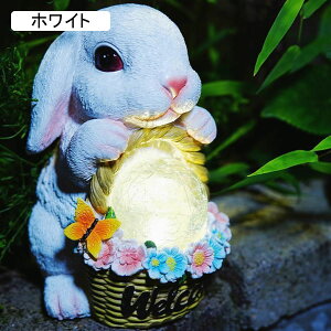 K[fjO ETM K[f AEghA \[[Cg O̒u     I[ig   h ϋv K[fG | fR[V  zCg