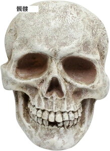 K[fjO Ǌ|  K[f O̒u nEB[ u h ϋv |G   CeA Ǐ x_ 뉀 AEghA Op  one size