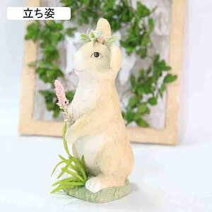 K[fI[ig  K[f u 킢e K[fjO u h ϋv Jg[G ETM | CeAG k   O fR[V  p 14