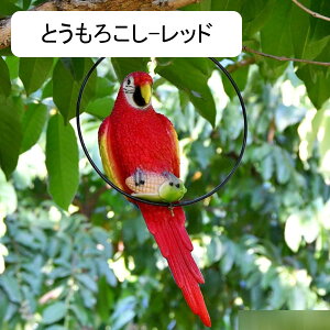 K[fI[ig IE K[f | 킢 _F K[fjO u h O |G CeA H|i x_ 뉀  O  Op ؍Y-CG[ 1