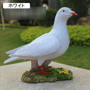 K[fjOG ng K[f A K[fu  c K[fjO   h O K[fG   | CeA  J^ObY   O