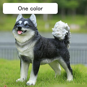 K[fjO nXL[  A K[f O̒u 킢 Ő   h ϋv |G AEghA CeA v[g O fR[V  p 38*