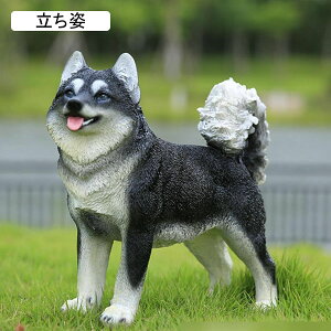 K[fjO nXL[  A K[f O̒u 킢 Ő   h ϋv |G AEghA CeA v[g O fR[V  p 38*