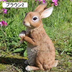 K[fjOg  ETM K[fu  { A  ʔ ObY ci Op H|i |pi i` h  Mtg