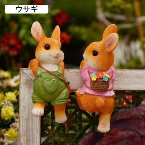 Ԓd̒u ̑ O ETM yAZbg 2CZbg K[fjOg  IuWF K[fu 킢  ʔ i` o O | H|i |pi