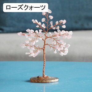 �V�R�� �V�R���� ������ �N���X�^���c���[ ������ ���[�Y�N�H�[�c �A���W�X�g �V�g���� ���� ���N�� ���^�A�b�v �J�^ �C���e���A �u�� ���^ ����� ���� ���蕨 �v���[���g ������ ������ ��