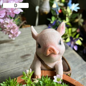 K[fI[ig Ԓd̒u  lR Ck L tt  K[fu ObY ci Op H|i |pi  { ʔ i` h  