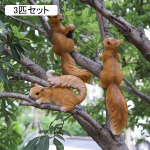 K[fI[ig X Il | ̑ O u A 킢 CeA |pi |G Aj} 뉀 lH r ΂̏ K[fG ObY i u 