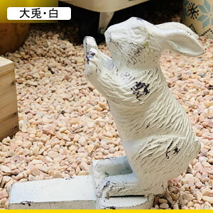 K[fI[ig  hAXgbp[ Aj} e  T ʔ O Ԓd̒u u CeA |pi |G   o 뉀 lHr IuWF fR[V