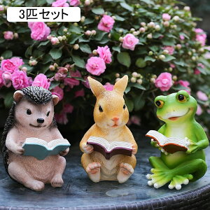 K[fI[ig Ǐ 3CZbg  u e ^ nlY~ ETM JG CeA K[fu O  x_   ObY |pi G ʔ i`