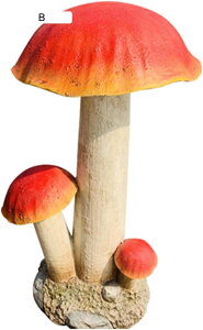 LmR u K[fI[ig O Ԓd̒u }CNi CeA H|i |pi b ͋C  O  O K[fu IuWF 蕨 蕨 L