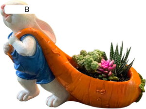 A e K[fI[ig A  Aؔ u ʔ CeA K[fu  O x_ CeA O IuWF ObY H|i |pi |