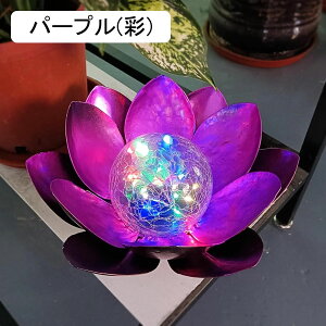 \[[Cg @̉ O bh K[fCg IP65h dF gF LED Cg Ɩ 邢 drsv \[[u iϏƖ _/ Ő ԓ    Ԓd u